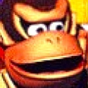 Meet your Posher, Kat